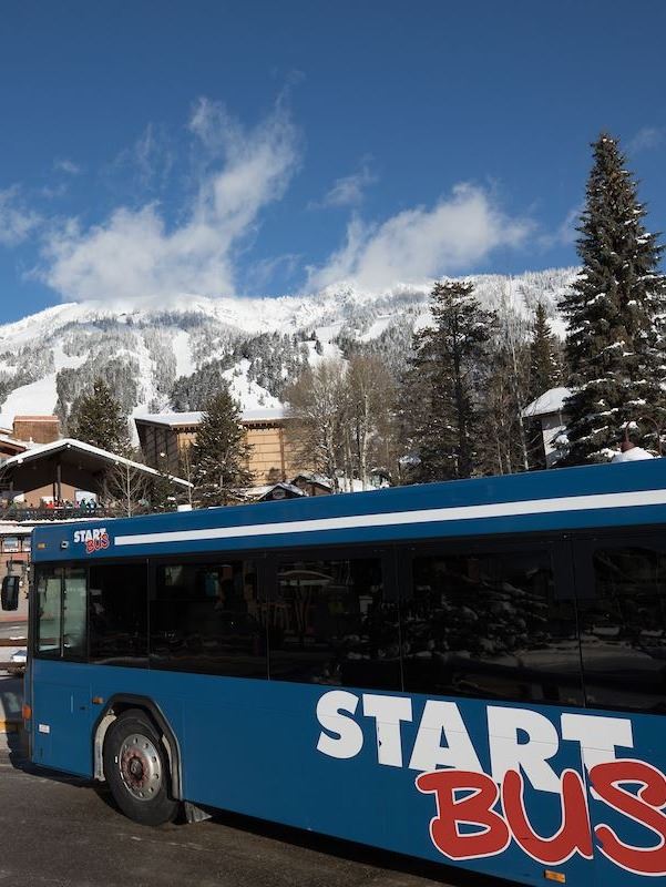 START Bus at Village Stop