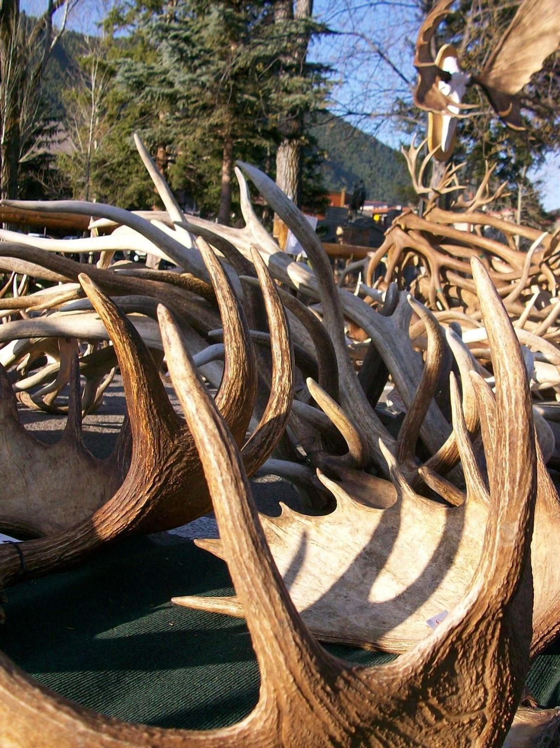 414099_162520533870396_1951262851_o