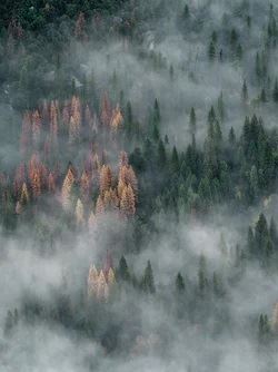 photo-1482192596544-9eb780fc7f66