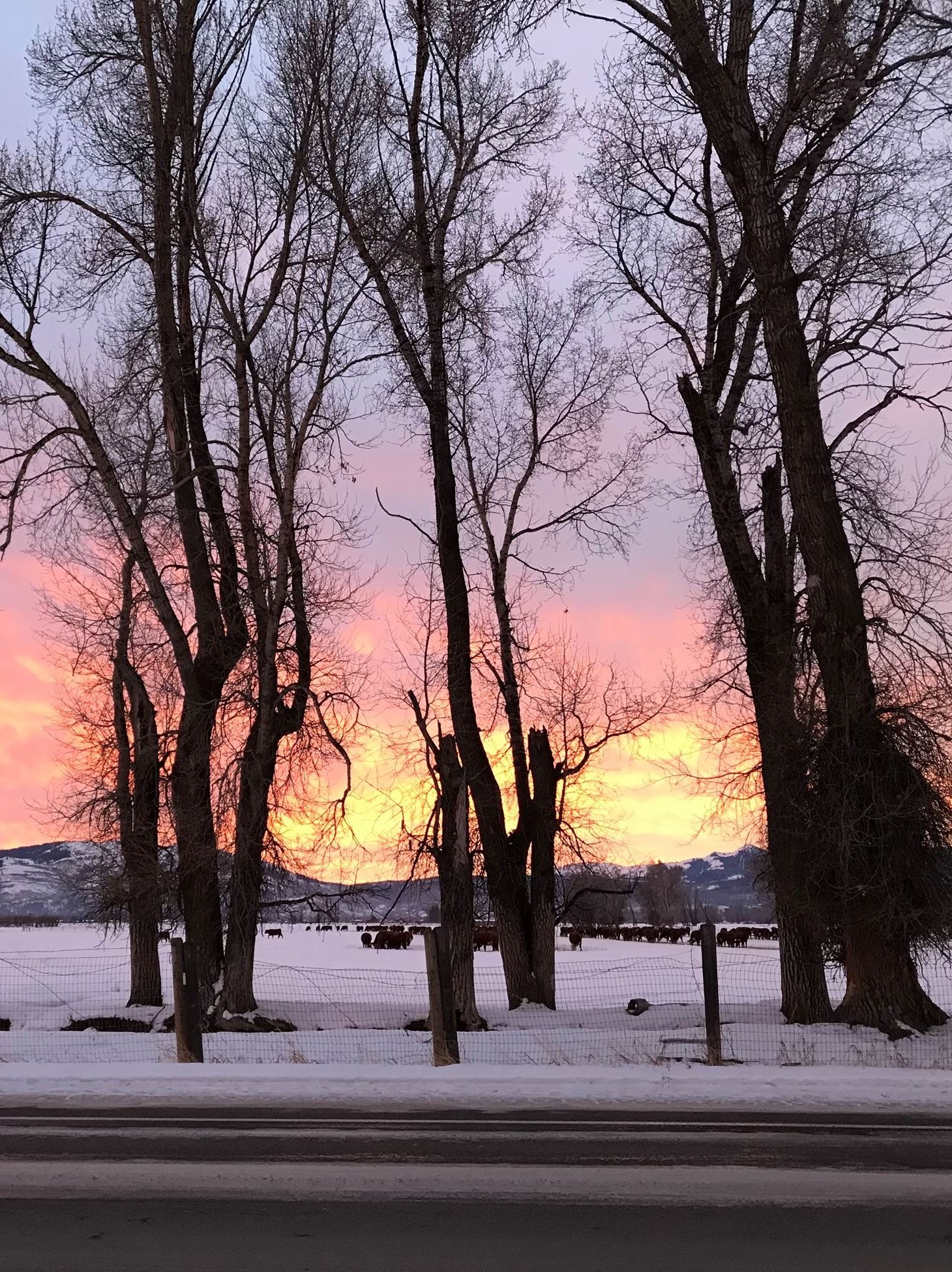 Site photo from HS Road