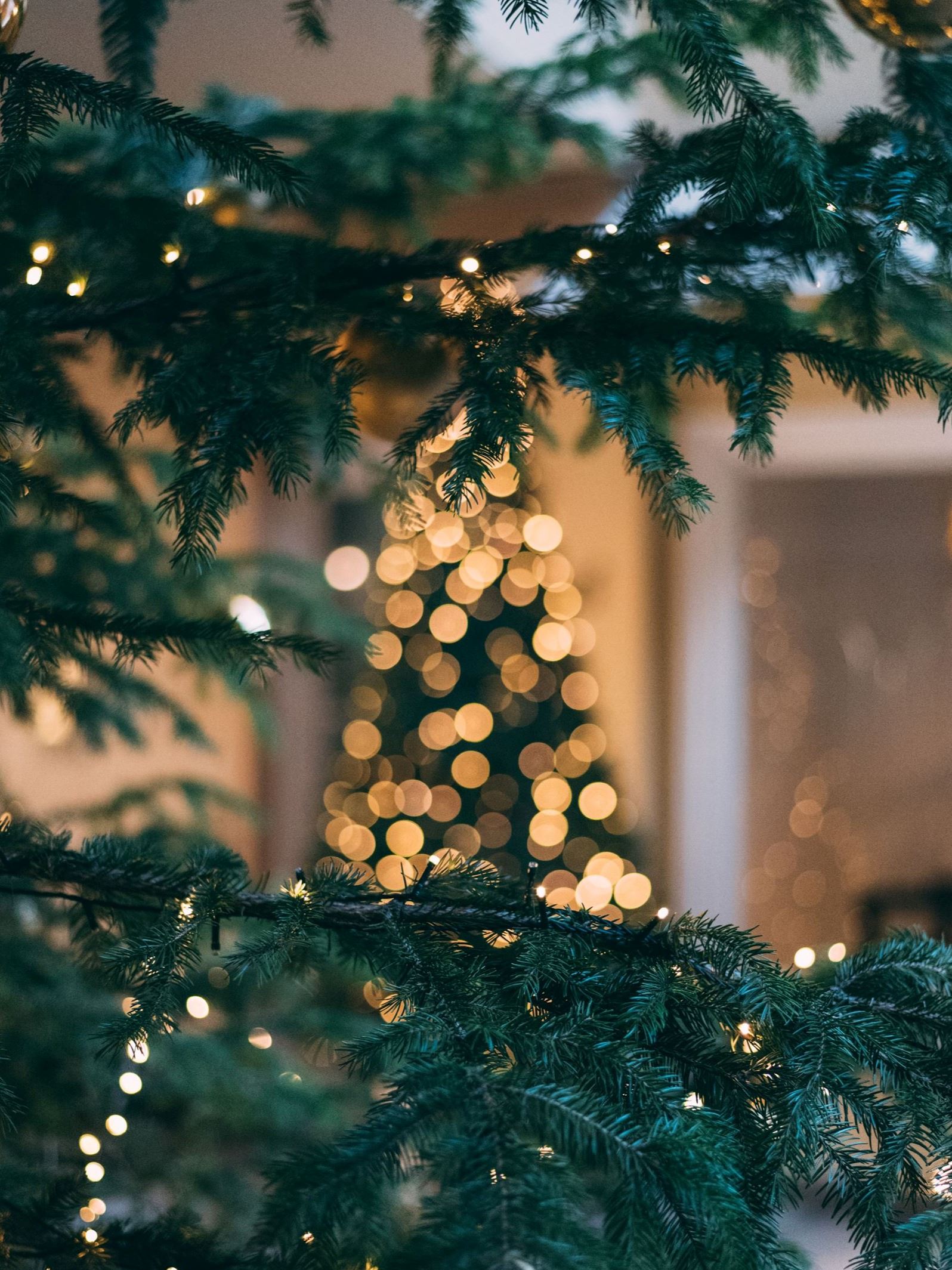 mourad-saadi-ZXbeOqF1NFQ-unsplash