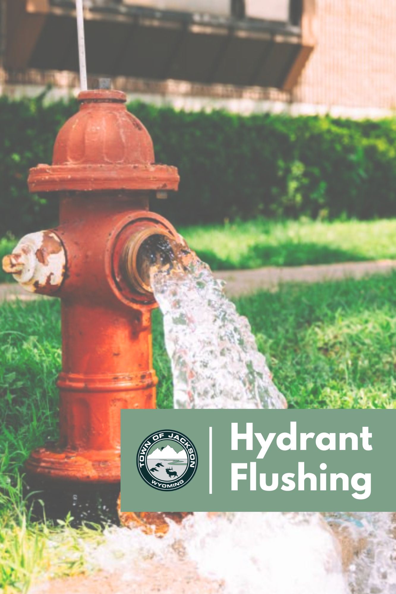 Newsletter NewsFlash (8 x 10 in) (5)