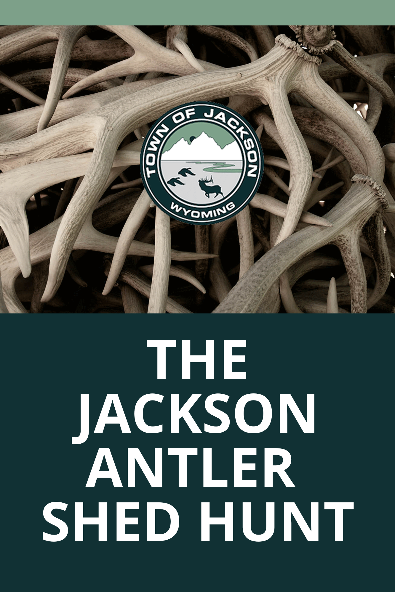 Shed Hunt News Flash