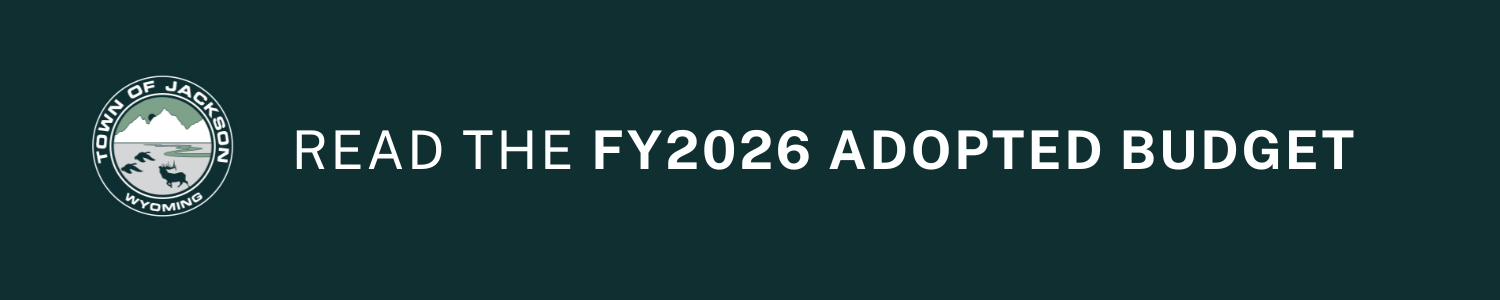 Website Header (1500 x 300 px) (1)